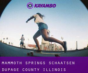 Mammoth Springs schaatsen (DuPage County, Illinois)