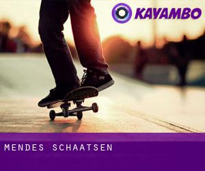 Mendes schaatsen