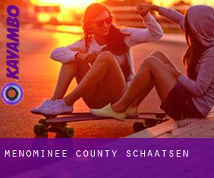 Menominee County schaatsen