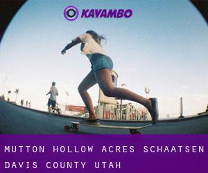 Mutton Hollow Acres schaatsen (Davis County, Utah)