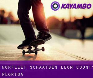 Norfleet schaatsen (Leon County, Florida)