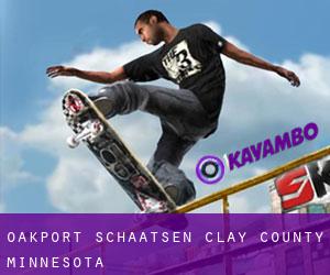 Oakport schaatsen (Clay County, Minnesota)