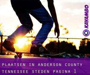 plaatsen in Anderson County Tennessee (Steden) - pagina 1