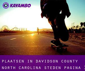 plaatsen in Davidson County North Carolina (Steden) - pagina 1