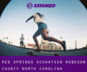 Red Springs schaatsen (Robeson County, North Carolina)