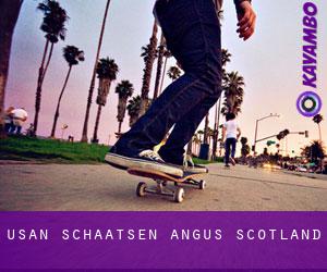 Usan schaatsen (Angus, Scotland)
