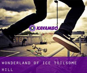 Wonderland of Ice (Toilsome Hill)